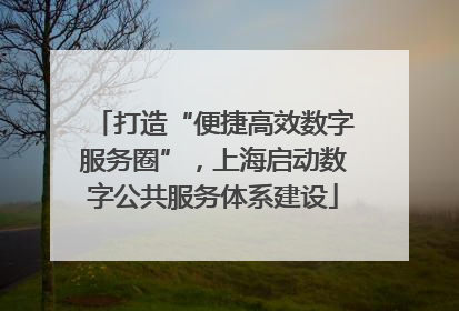打造“便捷高效数字服务圈”，上海启动数字公共服务体系建设