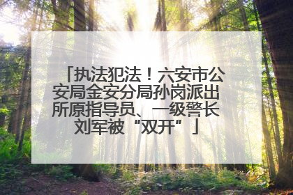 执法犯法！六安市公安局金安分局孙岗派出所原指导员、一级警长刘军被“双开”