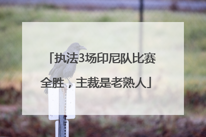 执法3场印尼队比赛全胜，主裁是老熟人