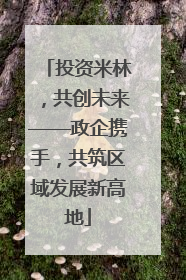 投资米林，共创未来——政企携手，共筑区域发展新高地