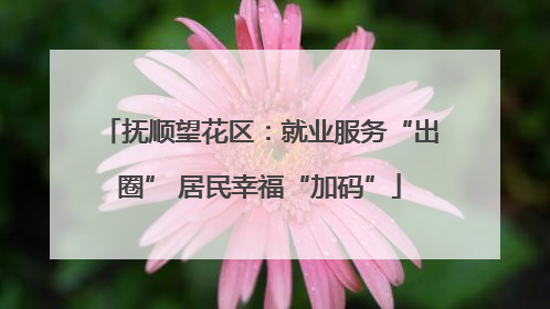 抚顺望花区：就业服务“出圈” 居民幸福“加码”