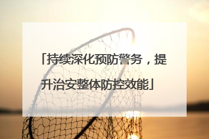 持续深化预防警务，提升治安整体防控效能