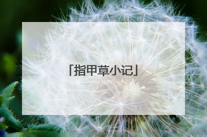 指甲草小记