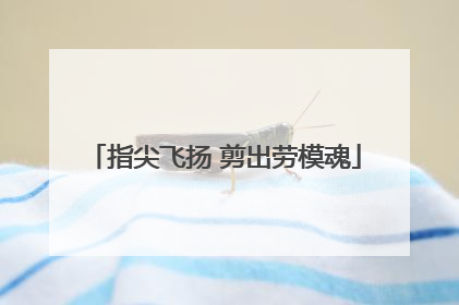 指尖飞扬 剪出劳模魂