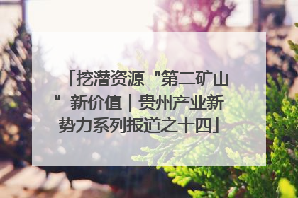挖潜资源“第二矿山”新价值｜贵州产业新势力系列报道之十四