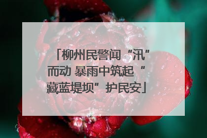 柳州民警闻“汛”而动 暴雨中筑起“藏蓝堤坝”护民安
