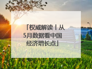 权威解读丨从5月数据看中国经济增长点