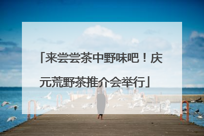 来尝尝茶中野味吧！庆元荒野茶推介会举行