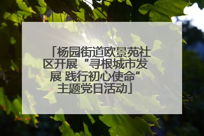 杨园街道欧景苑社区开展“寻根城市发展 践行初心使命”主题党日活动