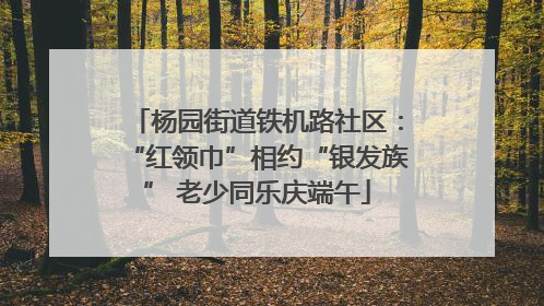 杨园街道铁机路社区：“红领巾”相约“银发族” 老少同乐庆端午