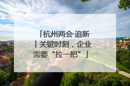 杭州两会·追新丨关键时刻，企业需要“拉一把”