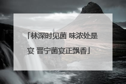 林深时见菌 味浓处是宴 晋宁菌宴正飘香