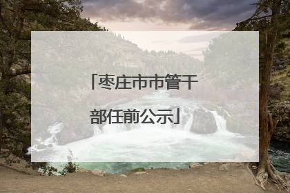 枣庄市市管干部任前公示