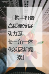 携手打造高质量发展动力源——长三角一体化发展新观察