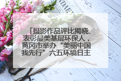 摄影作品评比揭晓、表彰最美基层环保人，黄冈市举办“美丽中国我先行”六五环境日主题宣传活动