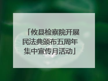 攸县检察院开展民法典颁布五周年集中宣传月活动