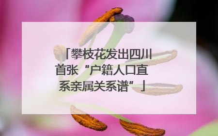 攀枝花发出四川首张“户籍人口直系亲属关系谱”