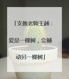 支教老师王越：爱是一棵树，会撼动另一棵树