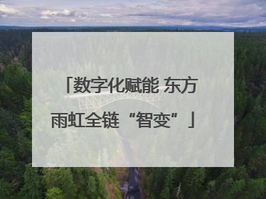 数字化赋能 东方雨虹全链“智变”