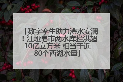 数字孪生助力澧水安澜！江垭皂市两水库拦洪超10亿立方米 相当于近80个西湖水量