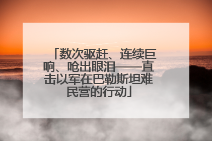 数次驱赶、连续巨响、呛出眼泪——直击以军在巴勒斯坦难民营的行动