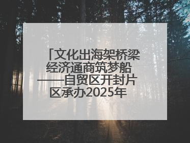 文化出海架桥梁 经济通商筑梦船——自贸区开封片区承办2025年匈牙利文旅交流对接活动专场
