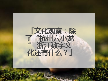 文化观察：除了“杭州六小龙” 浙江数字文化还有什么？