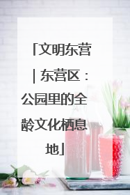 文明东营｜东营区：公园里的全龄文化栖息地