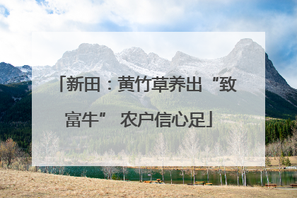 新田：黄竹草养出“致富牛” 农户信心足