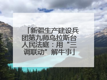 新疆生产建设兵团第九师乌拉斯台人民法庭：用“三调联动”解牛事