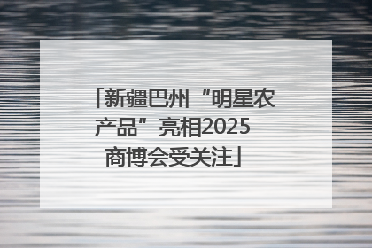 新疆巴州“明星农产品”亮相2025商博会受关注