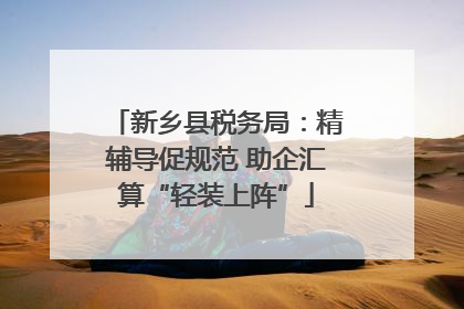 新乡县税务局：精辅导促规范 助企汇算“轻装上阵”