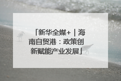 新华全媒+｜海南自贸港：政策创新赋能产业发展