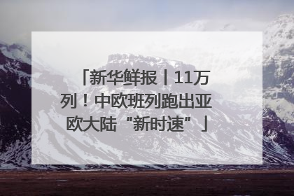 新华鲜报丨11万列！中欧班列跑出亚欧大陆“新时速”