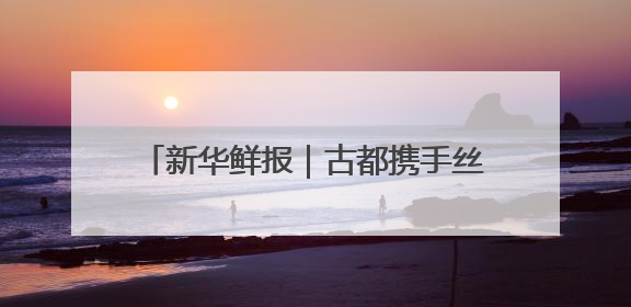 新华鲜报｜古都携手丝路！丝博会绽放新活力