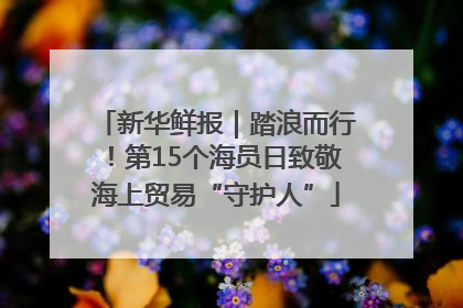 新华鲜报｜踏浪而行！第15个海员日致敬海上贸易“守护人”