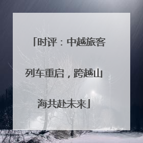 时评：中越旅客列车重启，跨越山海共赴未来