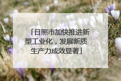 日照市加快推进新型工业化，发展新质生产力成效显著