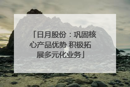 日月股份：巩固核心产品优势 积极拓展多元化业务