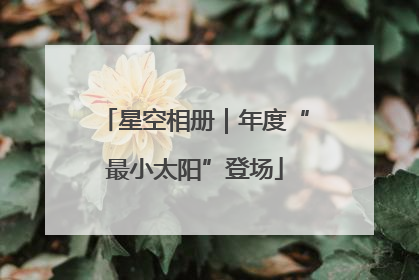 星空相册｜年度“最小太阳”登场