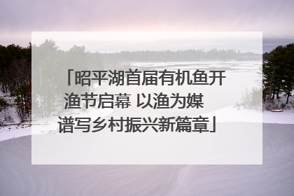 昭平湖首届有机鱼开渔节启幕 以渔为媒 谱写乡村振兴新篇章