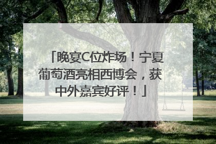 晚宴C位炸场！宁夏葡萄酒亮相西博会，获中外嘉宾好评！