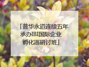 普华永道连续五年承办IBI国际企业孵化器研讨班