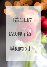 普兰口岸访边民（边城见闻）