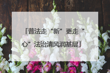 普法走“新”更走“心”法治清风润基层