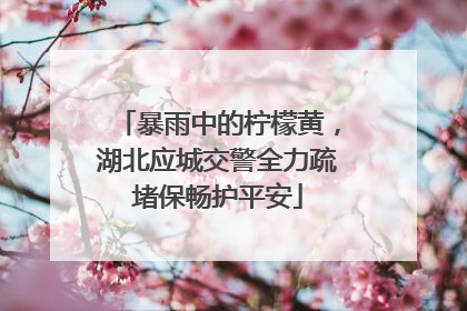 暴雨中的柠檬黄，湖北应城交警全力疏堵保畅护平安