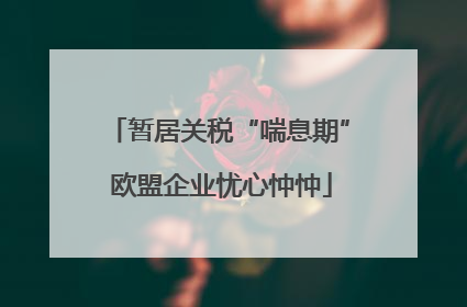 暂居关税“喘息期” 欧盟企业忧心忡忡