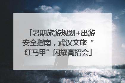 暑期旅游规划+出游安全指南，武汉文旅“红马甲”闪耀高招会