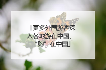 更多外国游客深入各地游在中国、“购”在中国