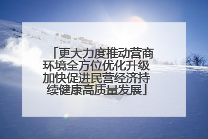 更大力度推动营商环境全方位优化升级加快促进民营经济持续健康高质量发展